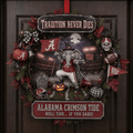 ACT Decorative Wreath PTKL